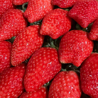 늘푸른 킹스베리 400g 왕특과