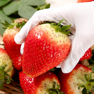 [푸른들] 딸기의 왕 논산 킹스베리 400g~800g 택1