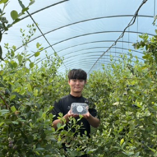 [오베리]3대째 이어온 블루베리 생과 200g(유기전환)