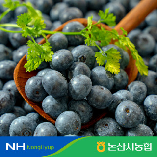 [논산시농협] 무농약 생블루베리 600g(특등급) 생과 18mm 