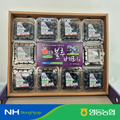 [영동농협]생블루베리 1kg(100g*10팩세트)(14mm,16mm,18mm )