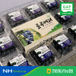[청양군농협]*배송지연안내*블루베리 100g*10개(16mm~18mm혼합) #GAP인증