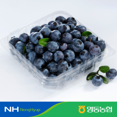 [영동농협]생블루베리 1kg(100g*10팩세트)(14mm,16mm,18mm )