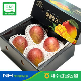[당도엄선] 제주애플망고 1.5kg 3-4입 #GAP인증