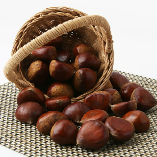 [바로바로팜]옥광밤 1kg/봉