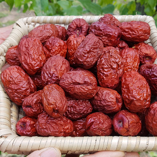 [산지직송] 보은 햇 건대추 1kg