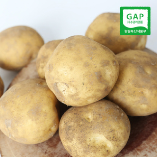 사시사철 맛좋은 우리땅 햇 감자(왕특) 3kg/5kg/10kg