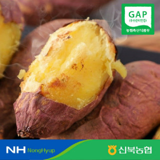 [신북농협 Peak!]GAP 인증 영암 황토 세척 꿀 고구마 3kg 5kg