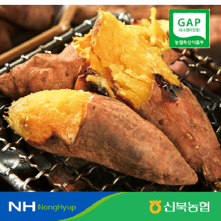 [신북농협 Peak!]★가격파괴★GAP인증  영암 황토  세척! 꿀!고구마 5kg 긴중, 긴상중, 긴상, 긴특