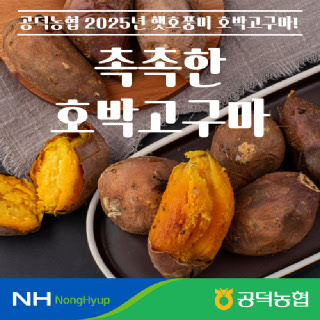 [공덕농협] 호박고구마 5kg (XS, S, ML)