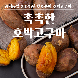 [공덕농협] 2025년 햇호박고구마 5kg (XS, S, ML)