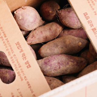 최상급 해남 25년 첫 출시 햇 꿀 밤 고구마 3kg 5kg 해남참농가