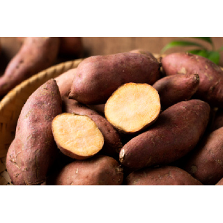 해남 가성비 못난이 호박 고구마 / 농산물 우수관리 GAP인증