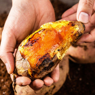 [대한민국농수산] 25년 햇 해남 베니하루카 세척 꿀고구마 (3/5kg)