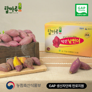 ★GAP판로지원★익산탑마루 날씬이 호박밤고구마 5kg/10kg(중상~특상 사이즈)