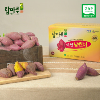 익산탑마루 삼기농협 날씬이 호박밤고구마 5kg/10kg