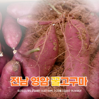 [신북농협]21년 햇수확 영암 황토 꿀밤 고구마 (3/5/10kg)