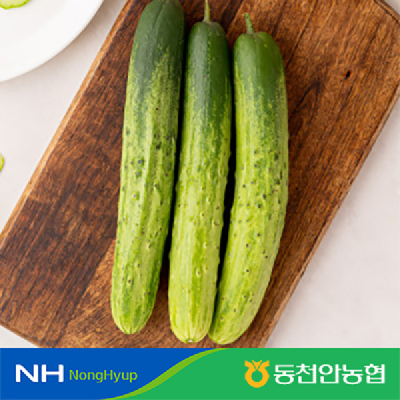 [농할20%추가할인][동천안농협] 백다다기 오이 2kg(10개)