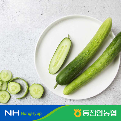 [농할20%추가할인][동천안농협] 백다다기 오이 2kg(10개)