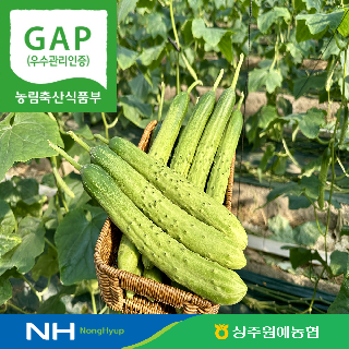 [경북농협/상주원예] 상주 오이 백다다기 가정용 (10개입/25개입)