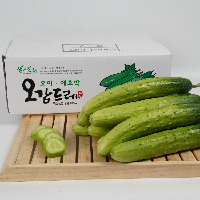 [덕산농협] 오감드레 진천 백다다기 오이 4kg 내외(20개) #제철오이 