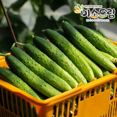 [미소드림] 백다다기 오이 4kg 20개입