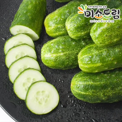 [미소드림] 백다다기 오이 4kg 20개입