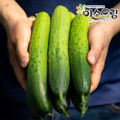 [미소드림] 백다다기 오이 4kg 20개입