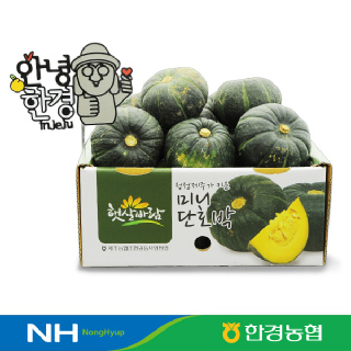 [한경농협] 제주 미니미니 밤호박(단호박) 2kg(5-12개내외)