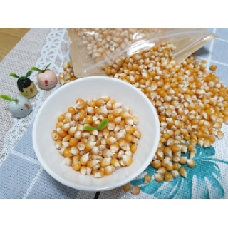 팝콘옥수수 350g 800g