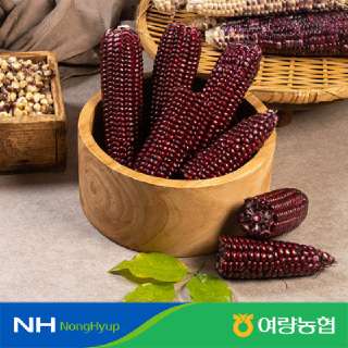 [여량농협] 냉동 아라리찰옥수수(5개입*2팩)