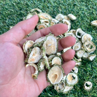 [근덕농협] 강원도 삼척 건여주 300g 500g