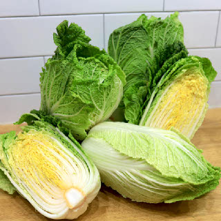 해남 알배추 베타 쌈배추