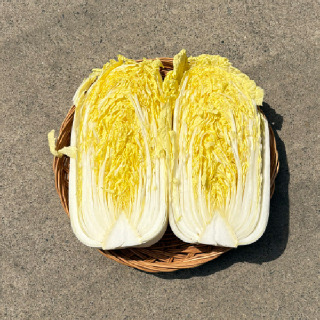 국내산 알배추 쌈배추