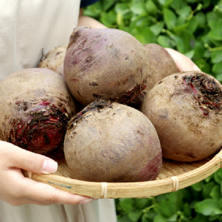GAP인증 아삭한 하우스 레드비트 3kg(6과 내외)