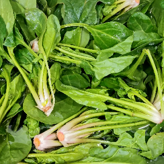 [농할가8,060원]남해 해풍맞고 자란 영양채소! 보물초 남해 시금치 1kg