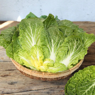 진도 해풍 봄동 1kg/2kg