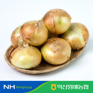 국내산 신선한 선별 양파 단단 아삭 중대 5kg