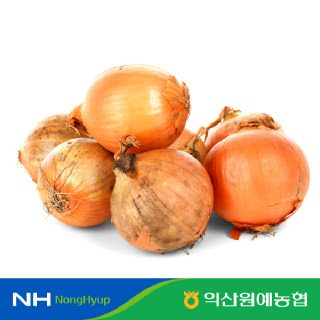 [농할대전20%][익산원예농협] 탱글탱글 국내산 양파 (특, 3kg/5kg/10kg)