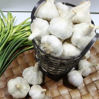 남해농협 바다 바람 맞고 자란 남해 통마늘 2kg 3kg 5kg