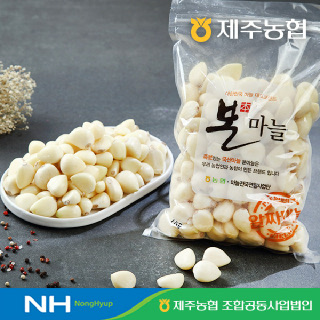 [제주농협]햇 깐마늘 1kg (상)