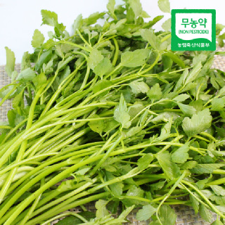 [생산자직송] 청도 무농약 한재 미나리 1kg/2kg/5kg