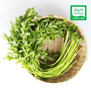 청도 무농약 한재 미나리 1kg/2kg/5kg