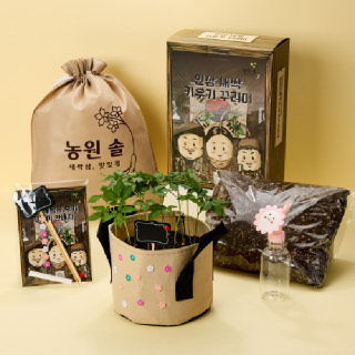 준비물이 필요없어요 새싹삼 재배키트