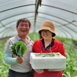 여주 유기농 쌈케일 1kg 쌈용케일 샐러드