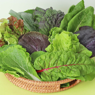 [장보남]유기농 쌈채소 샐러드채소 모듬채소 GAP 저탄소인증 600g/1kg