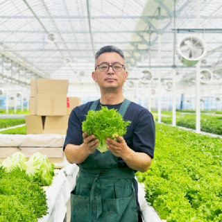 [익산원예농협]산지직송 당일수확 GAP 프리미엄 유러피안 샐러드 모듬 믹스 채소 유럽상추 1kg