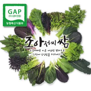 [조아쌈]모듬 쌈채소 샐러드 야채 당일 수확, 케일 로메인 상추,루꼴라 1kg 산지직송 정기구독