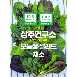 [상추연구소] 무농약 친환경 모둠쌈야채 샐러드채소 600g 1kg