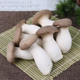 [음성장터] 무농약 새송이버섯(400g x 3봉)